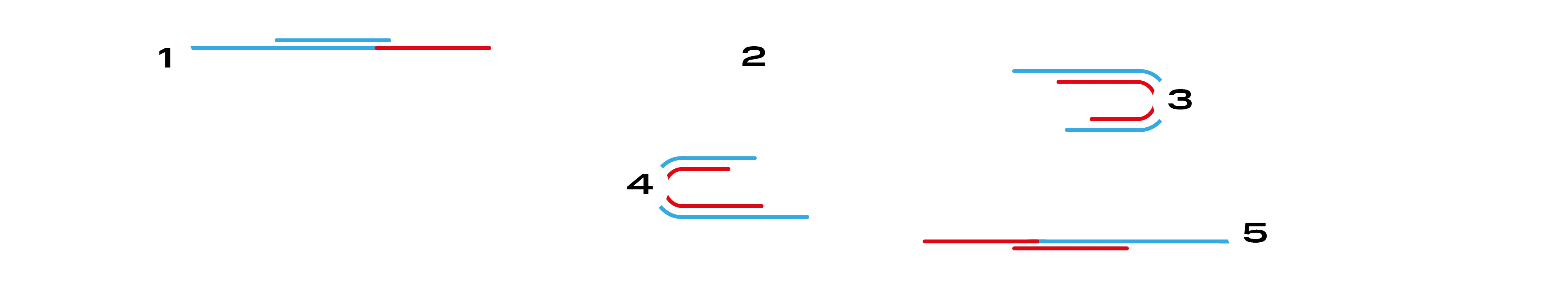 Driving Experience